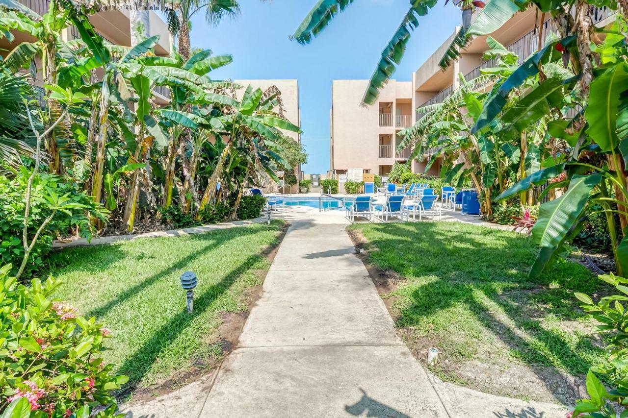 Palm Tree Escape Daire South Padre Island Dış mekan fotoğraf