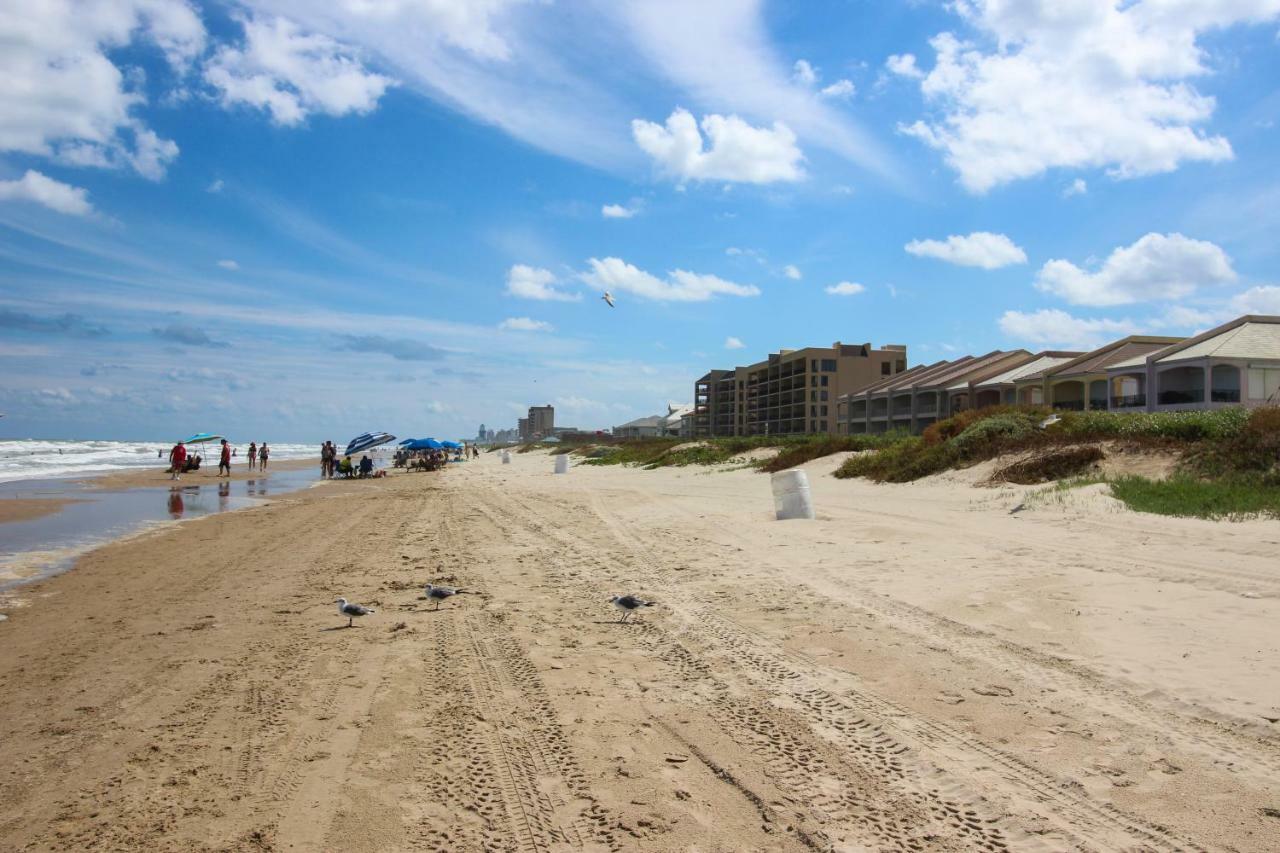 Palm Tree Escape Daire South Padre Island Dış mekan fotoğraf