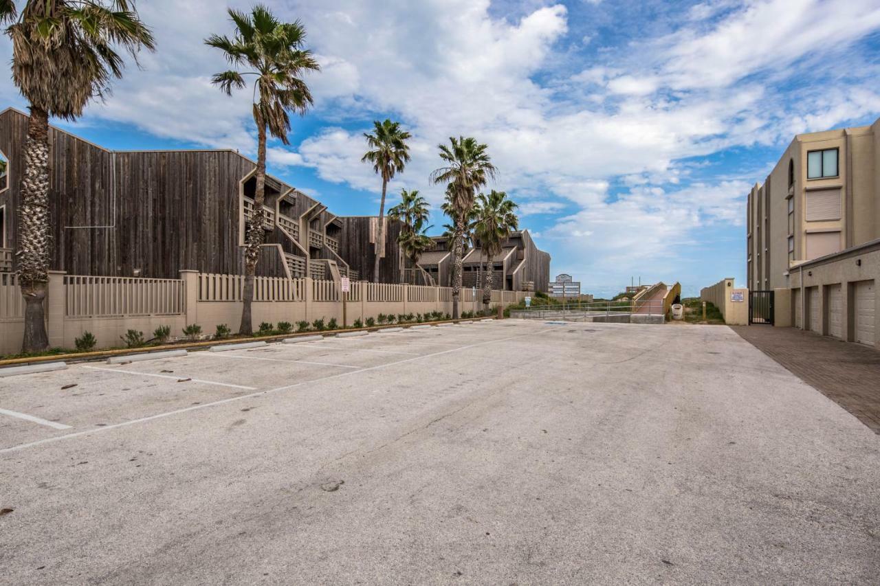 Palm Tree Escape Daire South Padre Island Dış mekan fotoğraf