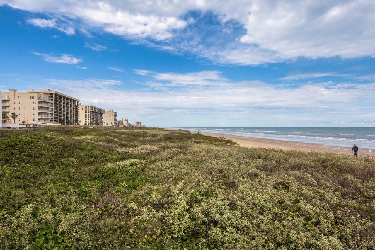 Palm Tree Escape Daire South Padre Island Dış mekan fotoğraf